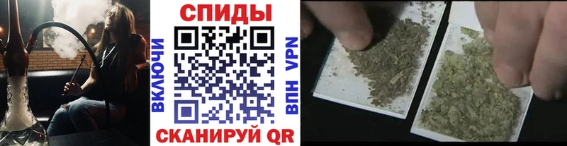 БУТИРАТ бутандиол MEGA зеркало Сорск