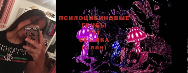 мяу мяу мука Переславль-Залесский