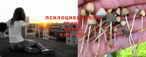 мдма Пересвет