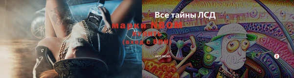 ПСИЛОЦИБИНОВЫЕ ГРИБЫ Пестово