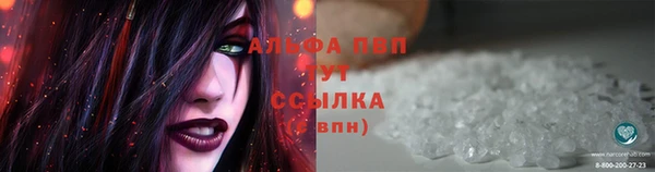 ПСИЛОЦИБИНОВЫЕ ГРИБЫ Пестово