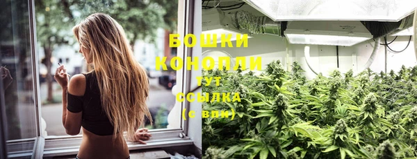ПСИЛОЦИБИНОВЫЕ ГРИБЫ Пестово