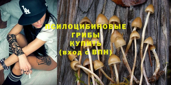 мяу мяу мука Переславль-Залесский