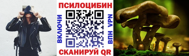 Псилоцибиновые грибы Magic Shrooms  наркотики  Сорск 
